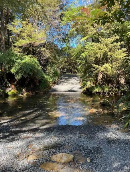 Coromandel Secluded Log Cabin Retreat Hikuai Exterior photo